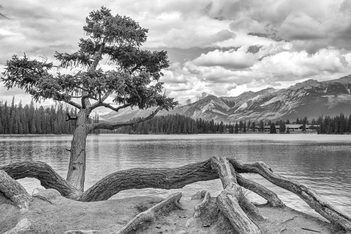 Beauvert Lake, Jasper NP