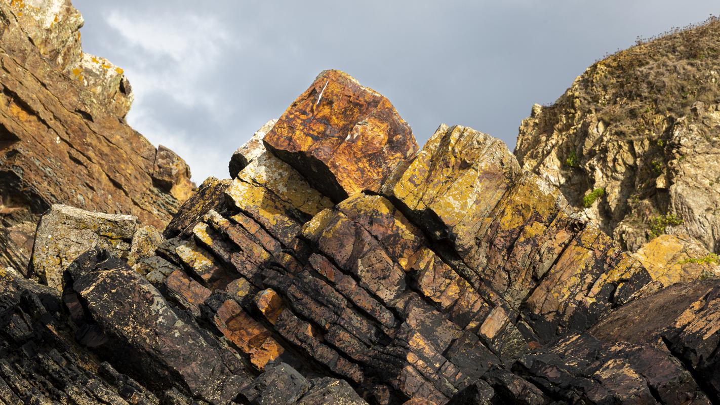 The Rock