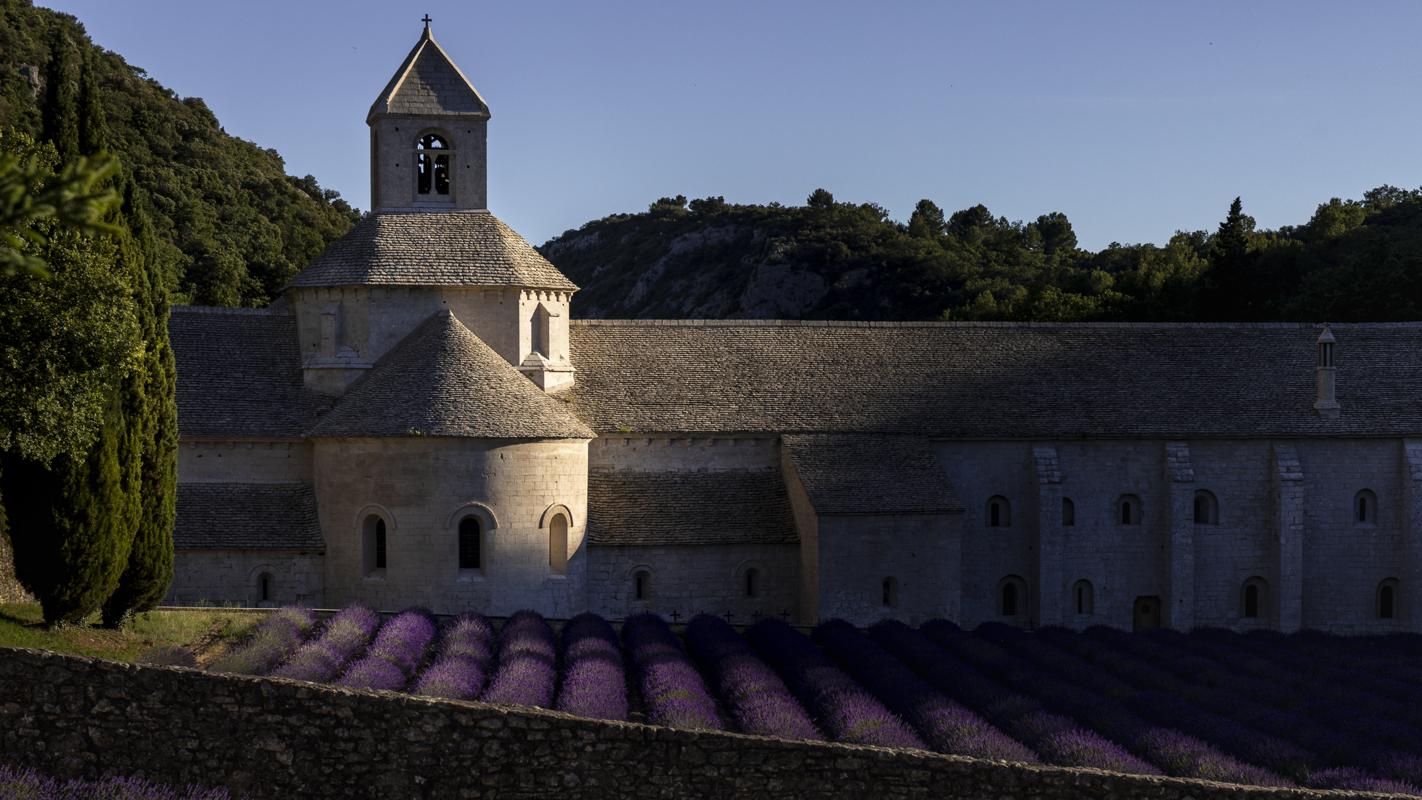 Abbaye Notre-Dame de Sénanque