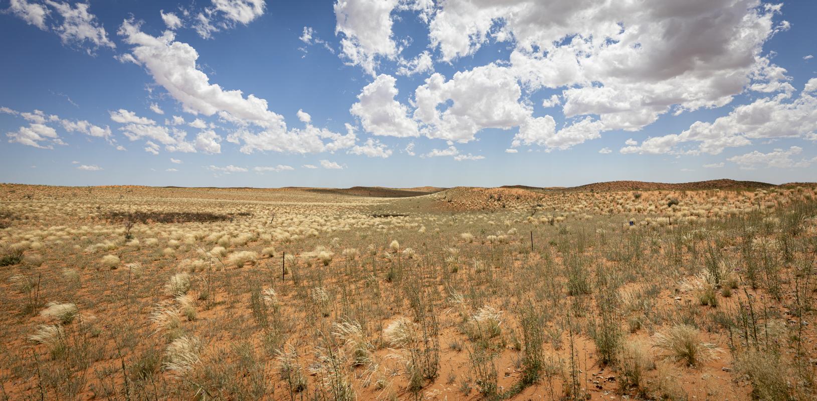 Kalahari Desert