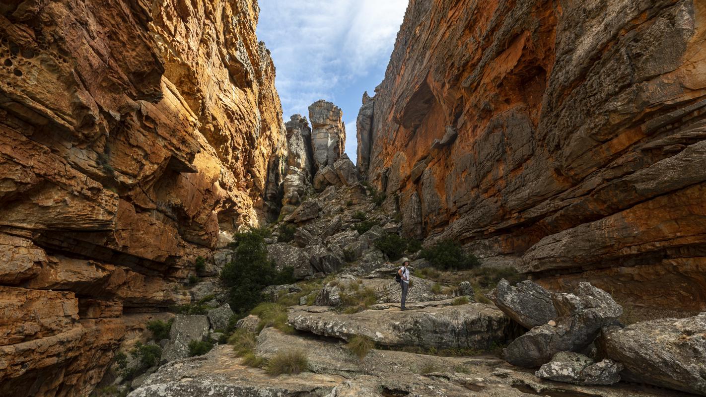 Cederberg