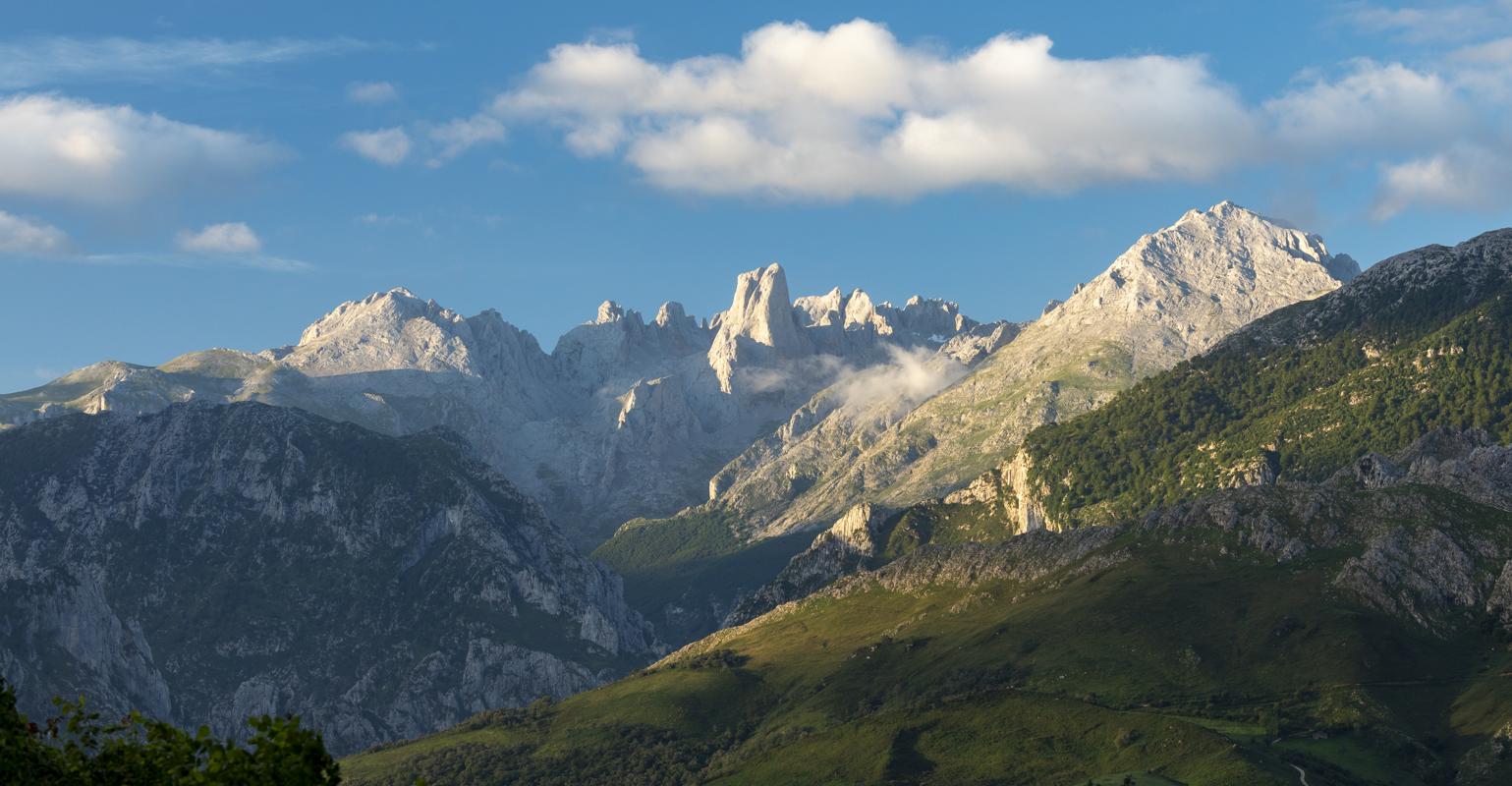 Naranjo de Bulnes